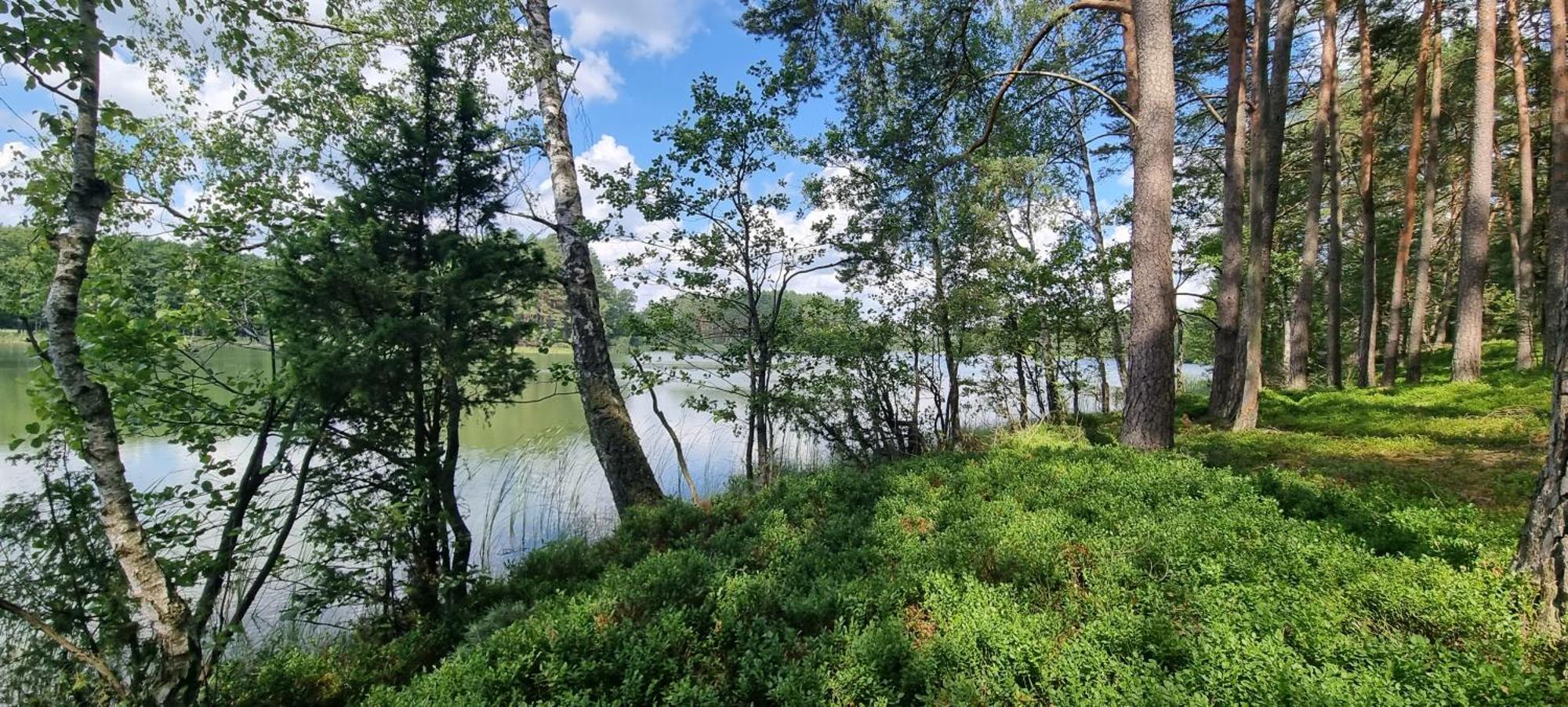 Osrodek Wypoczynkowy Soszko Villa Swornegacie Exterior foto