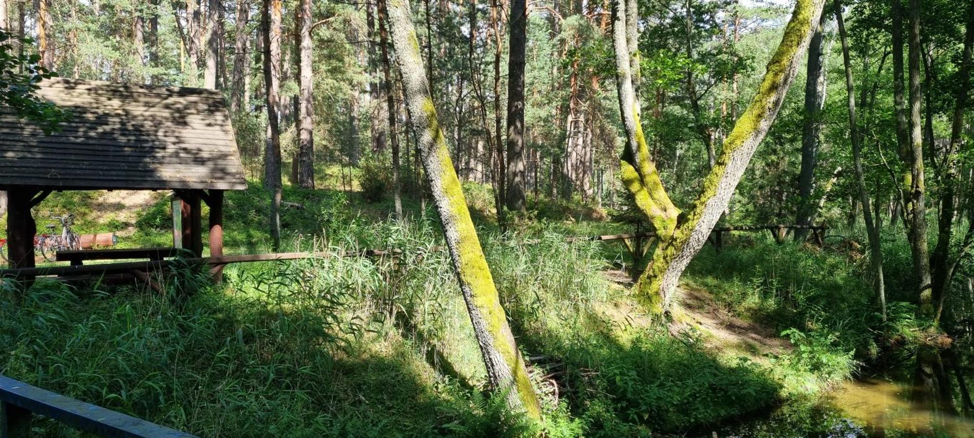 Osrodek Wypoczynkowy Soszko Villa Swornegacie Exterior foto